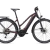 Giant Explore E+1 PRO STA -vélo Magasin de vente explore e1 pro sta